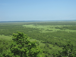 158.JPG