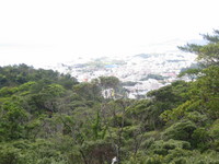 2008,2,4~7okinawa 041.jpg