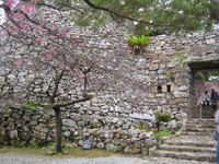 2008,2,4~7okinawa 049.jpg