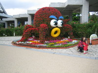 2008,2,4~7okinawa 070.jpg