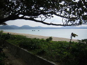 2008,2,4~7okinawa 081.jpg