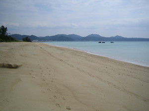 2008,2,4~7okinawa 085.jpg