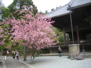 IMG_0008.JPG