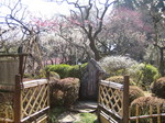 IMG_0018.JPG