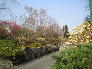 IMG_0033.jpg