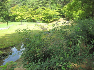 IMG_0087.JPG