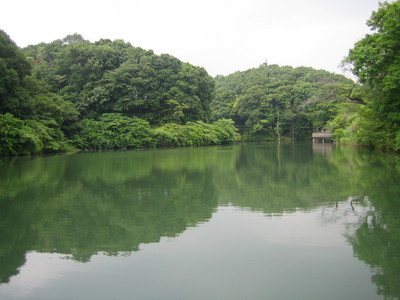 IMG_0089.jpg