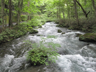 IMG_0163.JPG